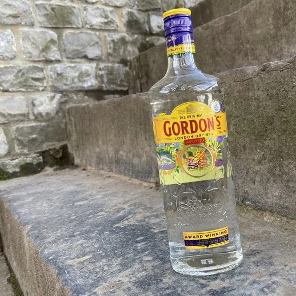 Gin Gordon’s 70 cL - Vins Rouges Harmonieux pour Chaque Occasion - Verre gin tonic